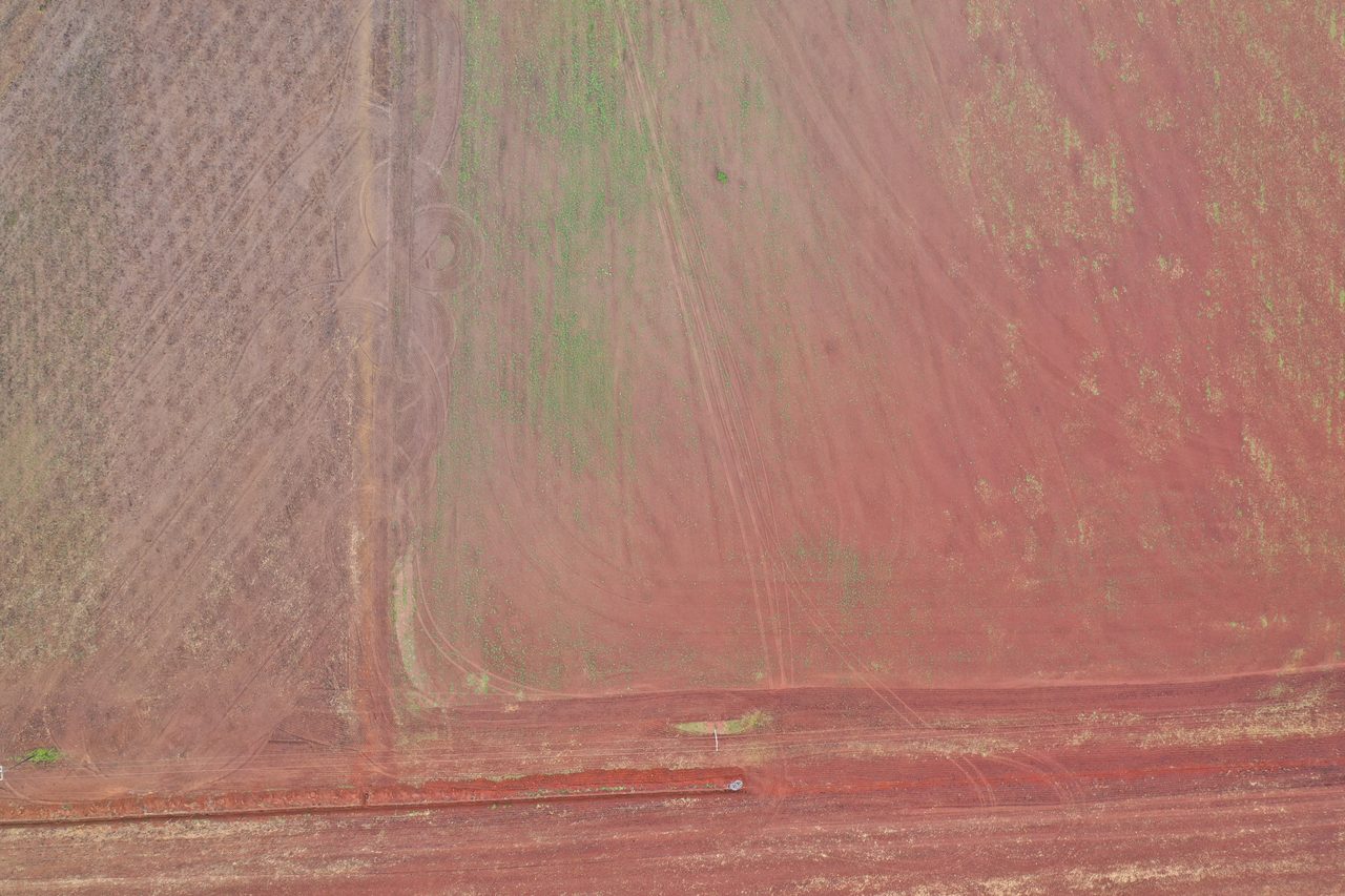 Drone agrícola realizando mapeamento NDVI de lavoura na agricultura de precisão