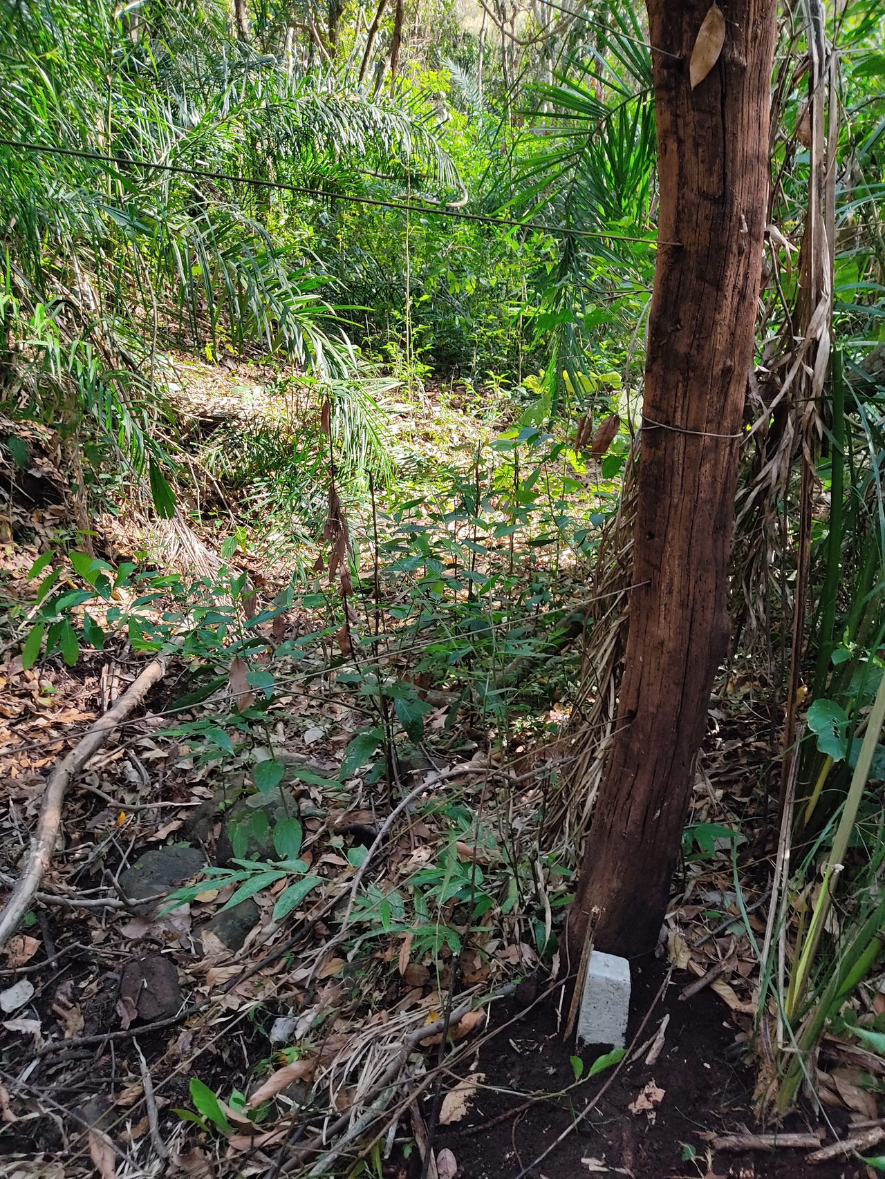 Profissional medindo divisa de terreno para processo de usucapião com GNSS RTK
