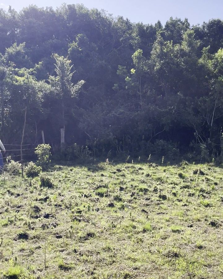 Apoio de campo em GNSS RTK junto à mata ciliar durante levantamento planialtimétrico