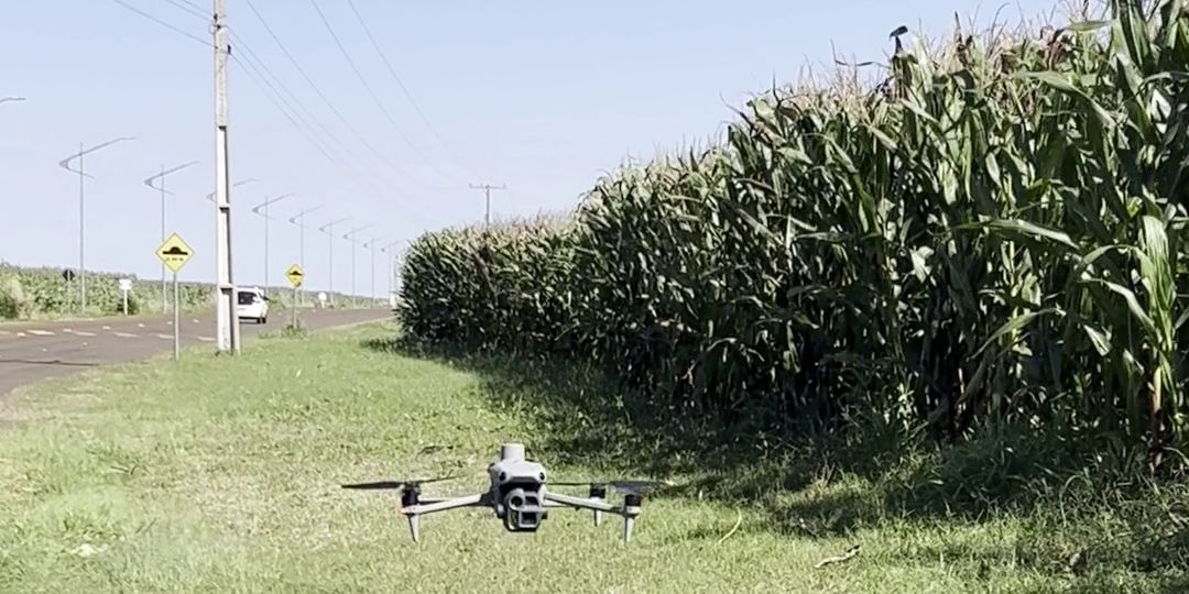 Drone decolando para voo de aerofotogrametria ao lado de lavoura de milho em São Gabriel do Oeste MS