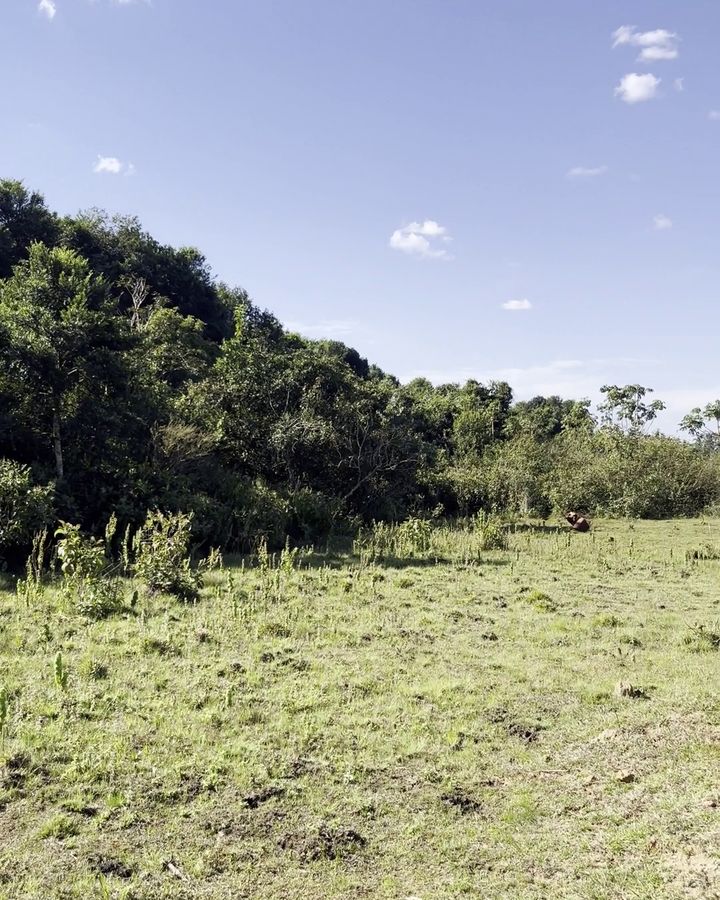 Gleba com pastagem e mata ciliar levantada para projeto de loteamento em São Gabriel do Oeste